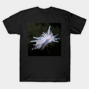 Underwater Nudi T-Shirt